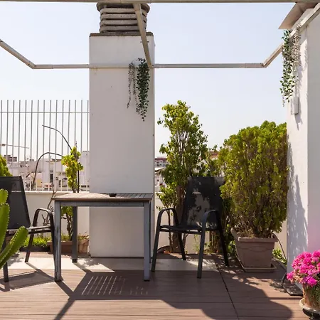 Colectia Santa Lucia