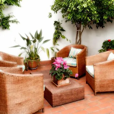 Colectia Santa Lucia Séville